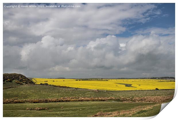 Fields of yellow Print by Kevin White