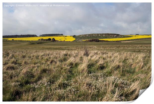 Wild flowers and rape seed field Print by Kevin White