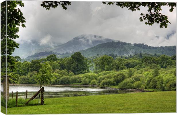 Between the Showers Canvas Print by Tom Gomez