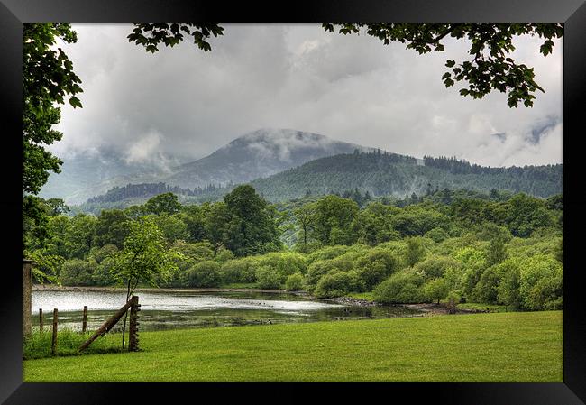 Between the Showers Framed Print by Tom Gomez