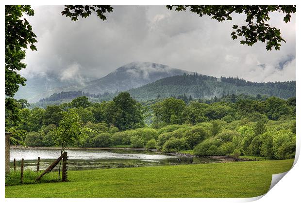 Between the Showers Print by Tom Gomez