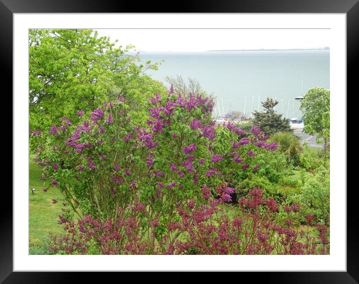 Southend Cliff Top Framed Mounted Print by John Bridge