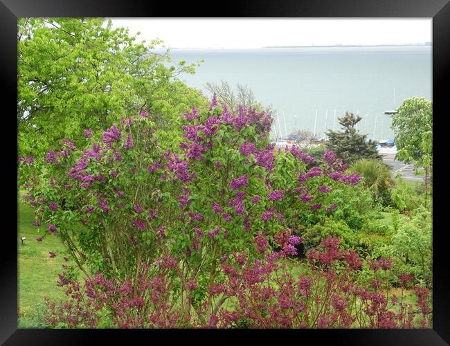 Southend Cliff Top Framed Print by John Bridge