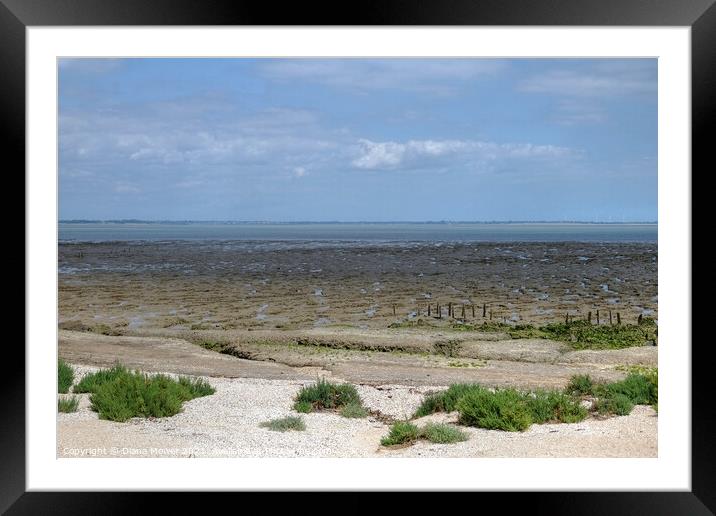 Bradwell on sea mudflats Framed Mounted Print by Diana Mower