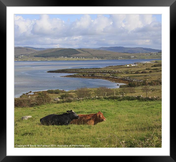 Meenacross meadow Framed Mounted Print by David McFarland