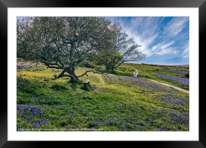 Blubell Bench Isle Of Wight Framed Mounted Print by Wight Landscapes
