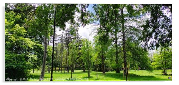 Plant tree in forest Acrylic by M. J. Photography