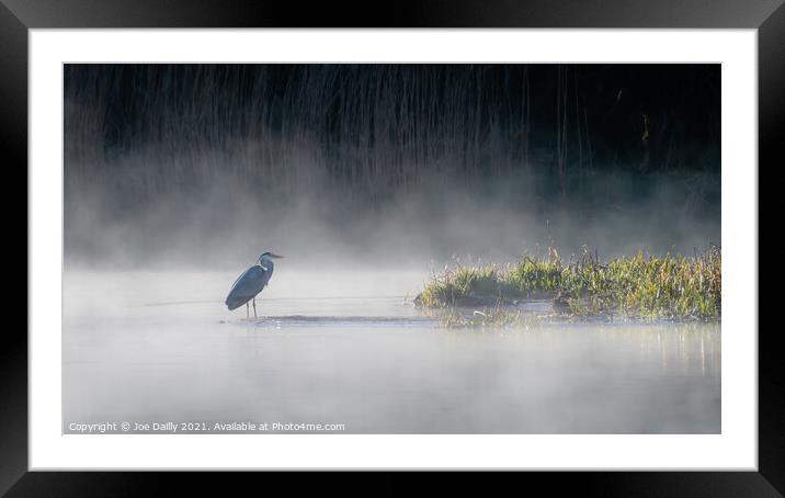 Heron on a mist Loch Framed Mounted Print by Joe Dailly