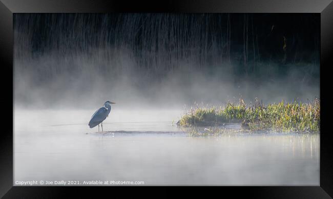Heron on a mist Loch Framed Print by Joe Dailly
