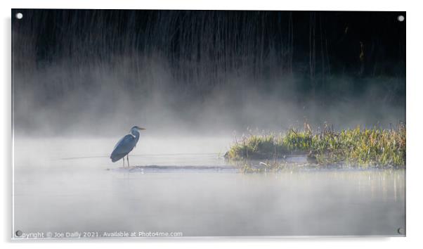 Heron on a mist Loch Acrylic by Joe Dailly