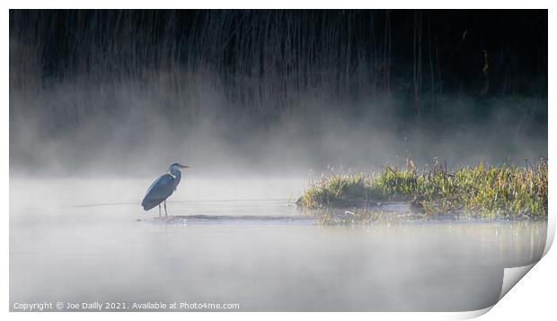 Heron on a mist Loch Print by Joe Dailly