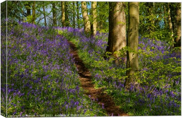 Walk through the Bluebell Wood Canvas Print by Martyn Arnold