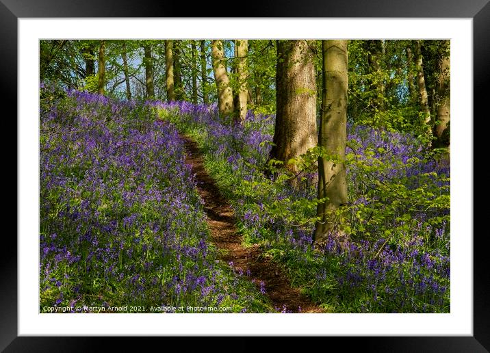 Walk through the Bluebell Wood Framed Mounted Print by Martyn Arnold