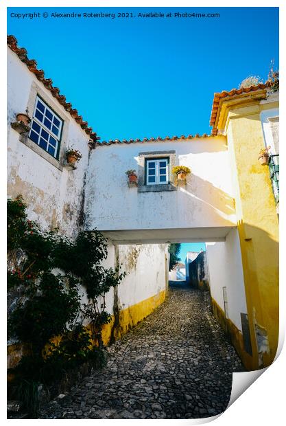 Narrow cobbled streets and traditionally painted houses in Obidos, Portugal. Print by Alexandre Rotenberg