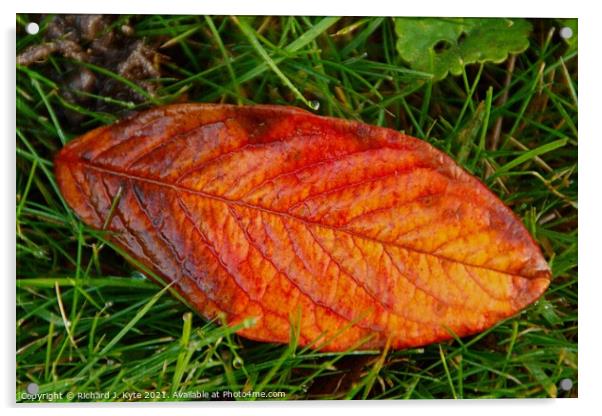 Autumn Leaf Acrylic by Richard J. Kyte