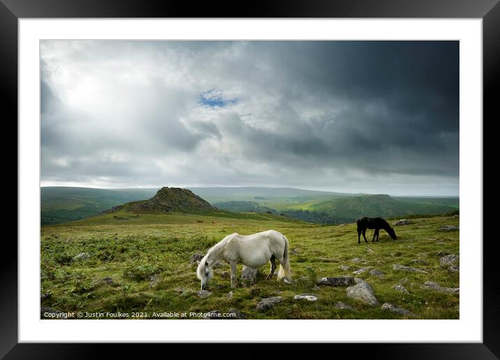 Dartmoor Ponies, Devon Framed Mounted Print by Justin Foulkes
