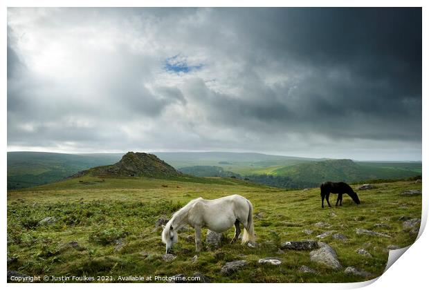 Dartmoor Ponies, Devon Print by Justin Foulkes