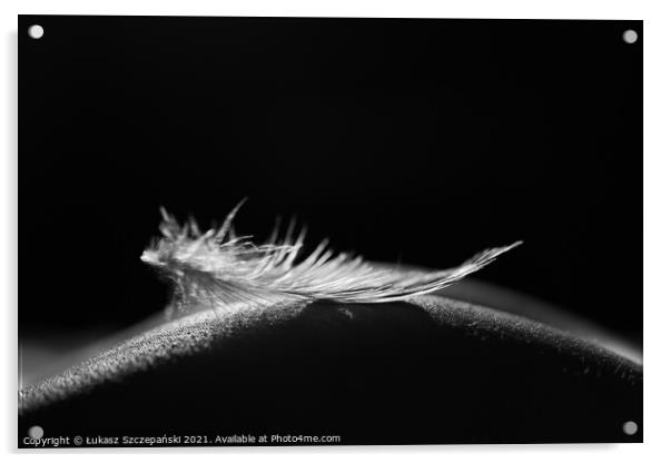 Feather on woman's behind Acrylic by Łukasz Szczepański