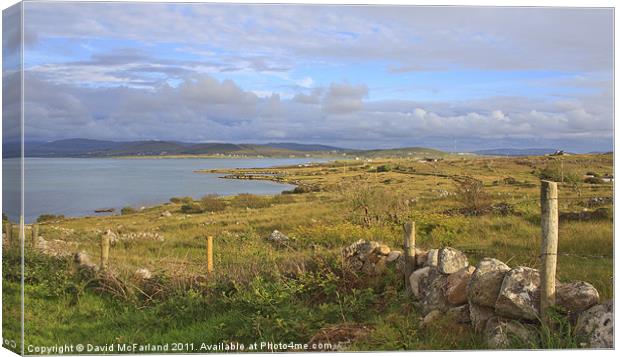 Donegal delight Canvas Print by David McFarland