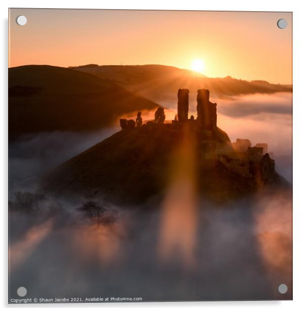Magical misty morning at Corfe castle  Acrylic by Shaun Jacobs