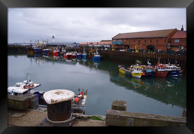 Reflections on Scarborough Harbour Framed Print by Ian Pettman