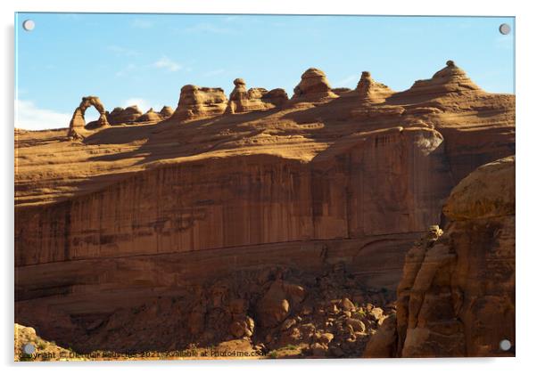Delicate Arch in Arches National Park, Utah Acrylic by Dietmar Rauscher