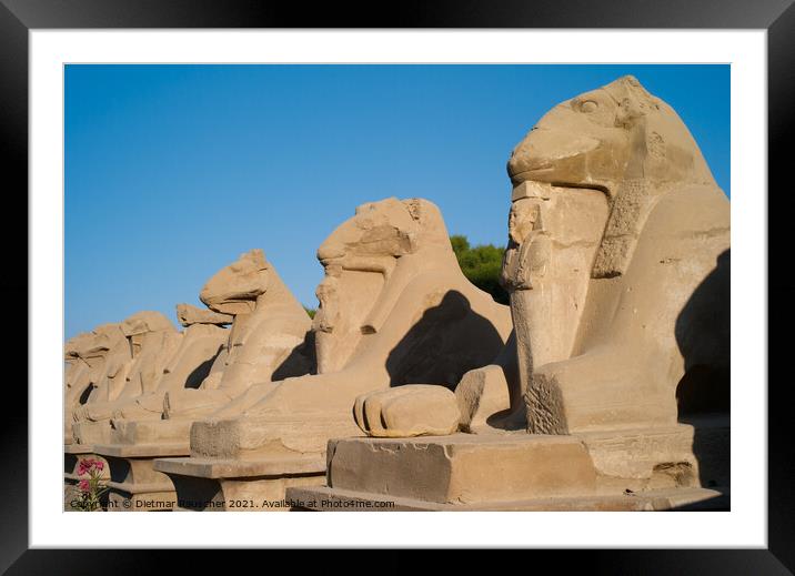 Alley of the Ram Headed Sphinxes in Luxor Framed Mounted Print by Dietmar Rauscher