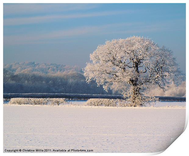 Wintery Tree Print by Christine Johnson