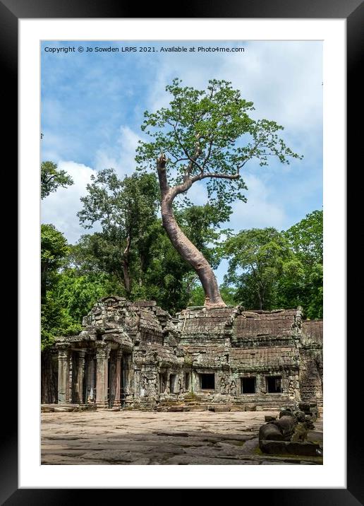 Ta Promh Temple Cambodia Framed Mounted Print by Jo Sowden