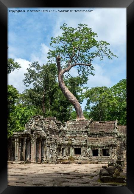 Ta Promh Temple Cambodia Framed Print by Jo Sowden