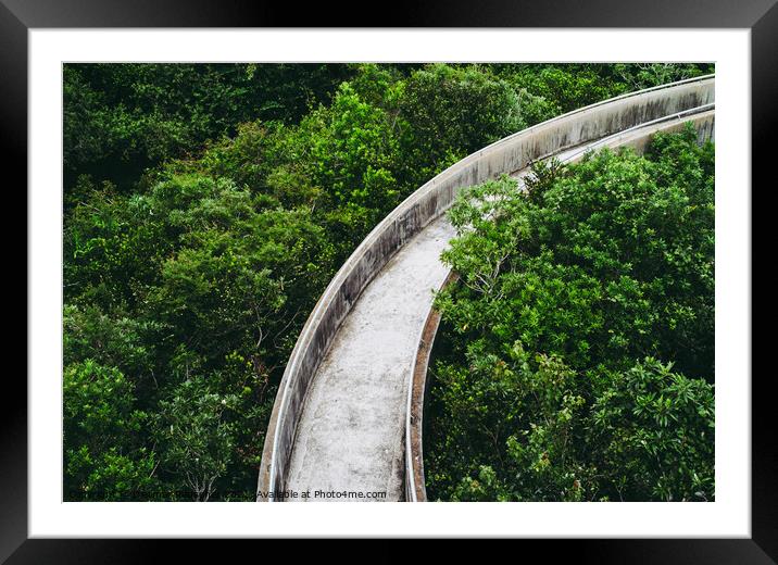 Concrete Walkway in the Everglades at Shark Valley through the T Framed Mounted Print by Dietmar Rauscher