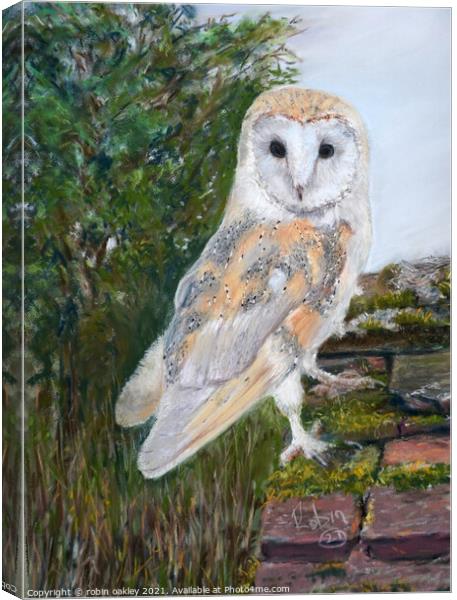 Barn Owl lookout  Canvas Print by robin oakley