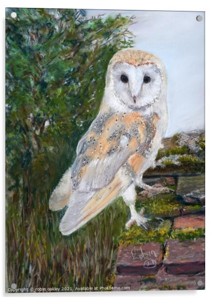Barn Owl lookout  Acrylic by robin oakley