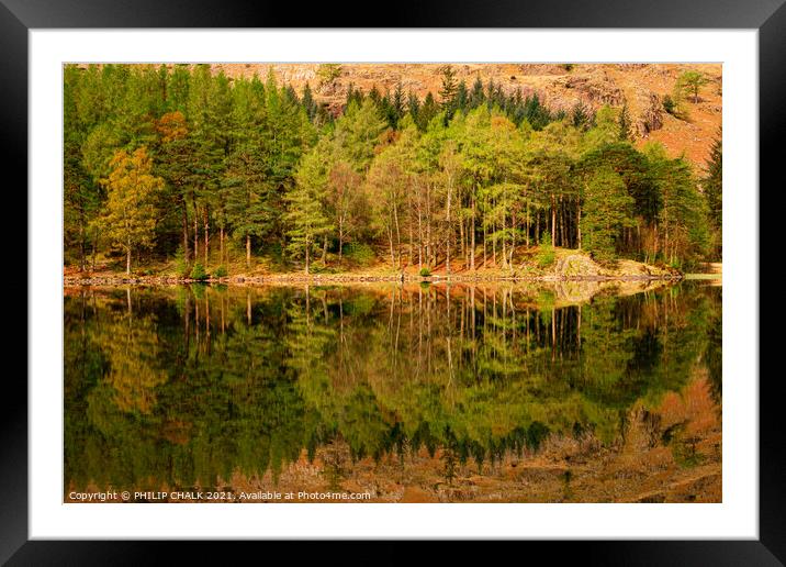 Blea tarn tree reflections in the lake district Cumbria 502  Framed Mounted Print by PHILIP CHALK