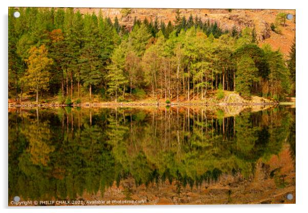 Blea tarn tree reflections in the lake district Cumbria 502  Acrylic by PHILIP CHALK