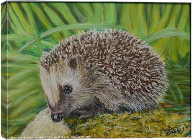 Hedgehog  Canvas Print by robin oakley