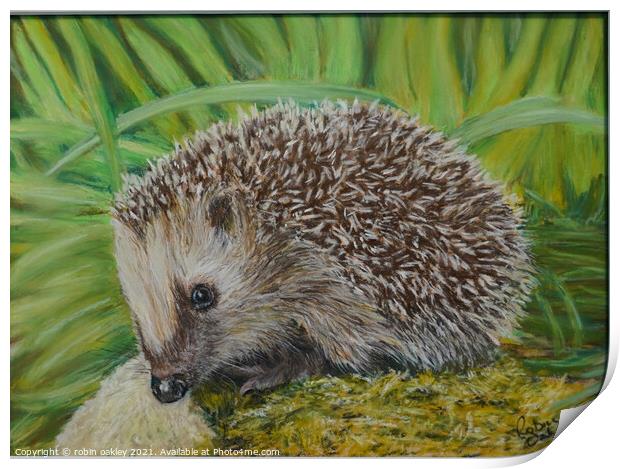 Hedgehog  Print by robin oakley