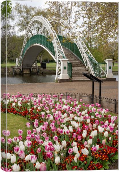 Majestic Tulip Display on Bedford Embankment Canvas Print by Graham Custance