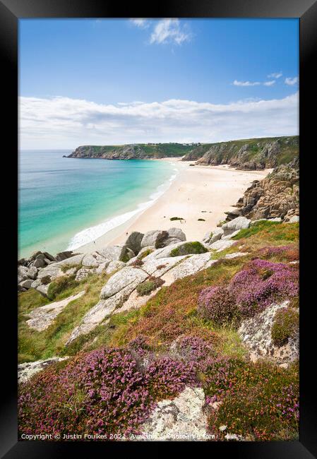 Porthcurno beach from the heather covered cliffs a Framed Print by Justin Foulkes