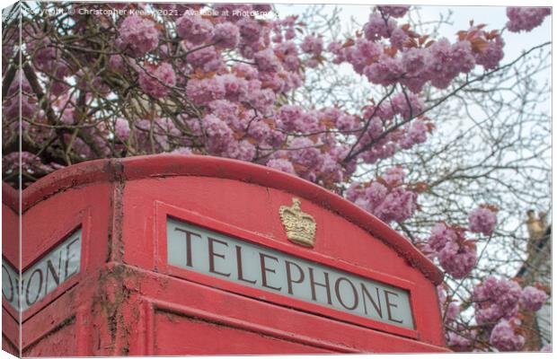Blossom and telephone box Canvas Print by Christopher Keeley