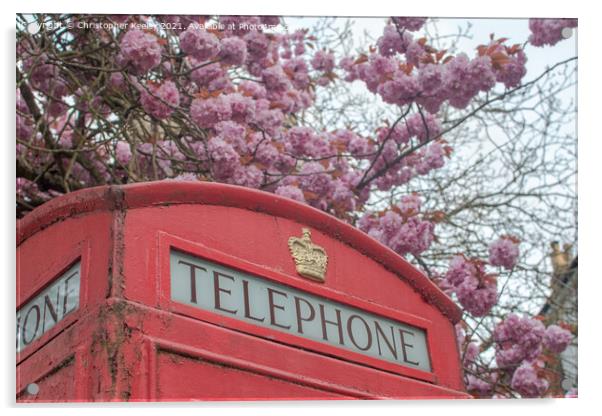 Blossom and telephone box Acrylic by Christopher Keeley