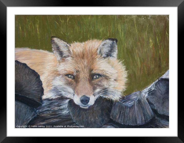 Mr Fox Looking at you Framed Mounted Print by robin oakley