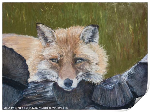 Mr Fox Looking at you Print by robin oakley