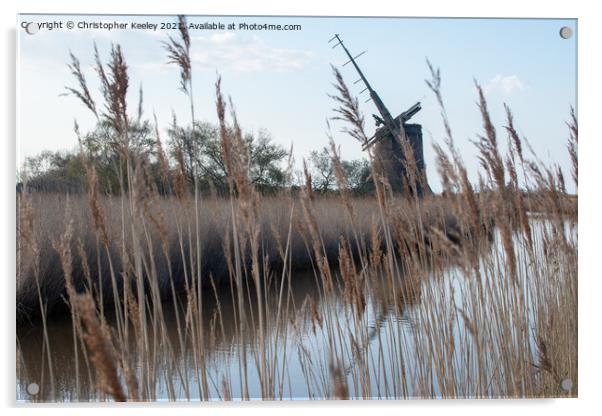 Brograve Mill through the reeds Acrylic by Christopher Keeley