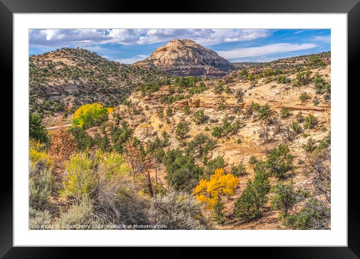 White Rock Dome Valley Trees Canyonlands Needles Utah Framed Mounted Print by William Perry