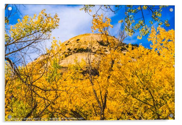 Yellow Cottonwood Trees White Rock Mountain Canyonlands Needles  Acrylic by William Perry