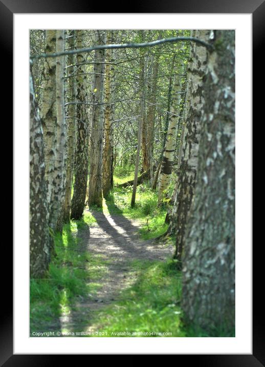 Pathway through the forrest Framed Mounted Print by Fiona Williams