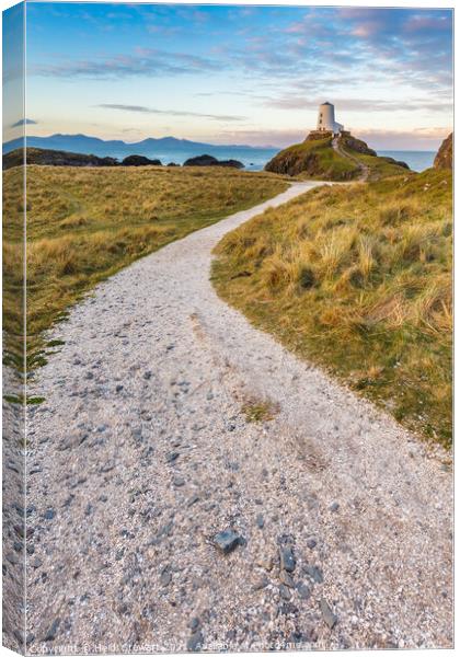 The Path to Twr Mawr Lighthouse Canvas Print by Heidi Stewart