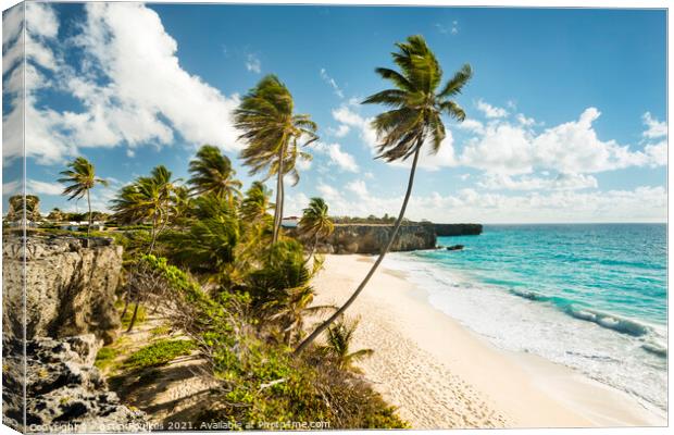 Bottom Bay, Barbados, Caribbean Canvas Print by Justin Foulkes
