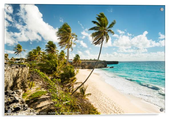 Bottom Bay, Barbados, Caribbean Acrylic by Justin Foulkes